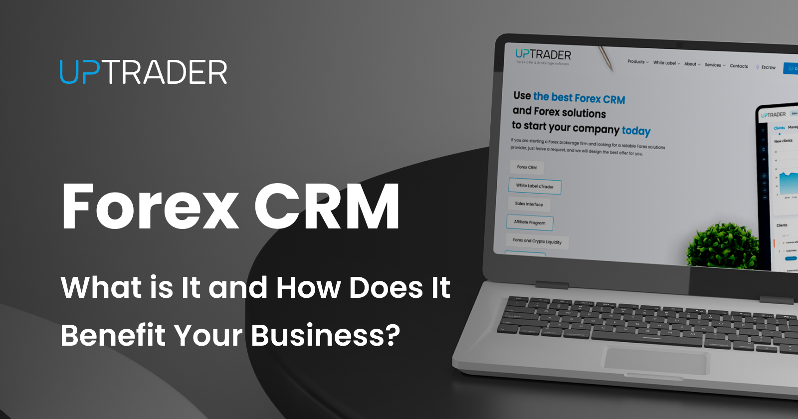 Forex CRM: What is It and How Does It Benefit Your Business?