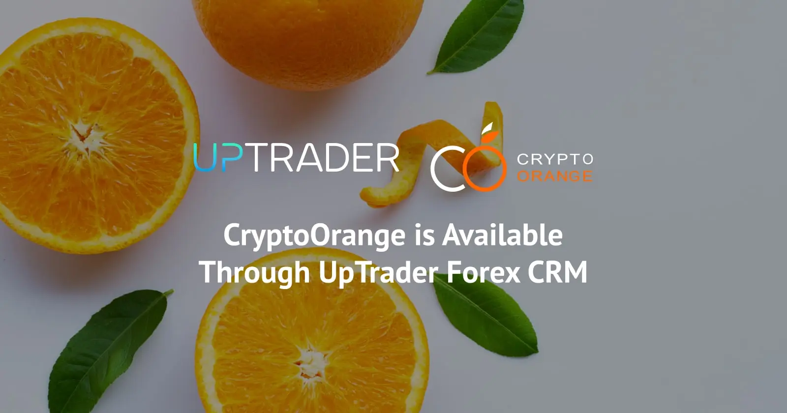 CryptoOrange is Available Through UpTrader Forex CRM